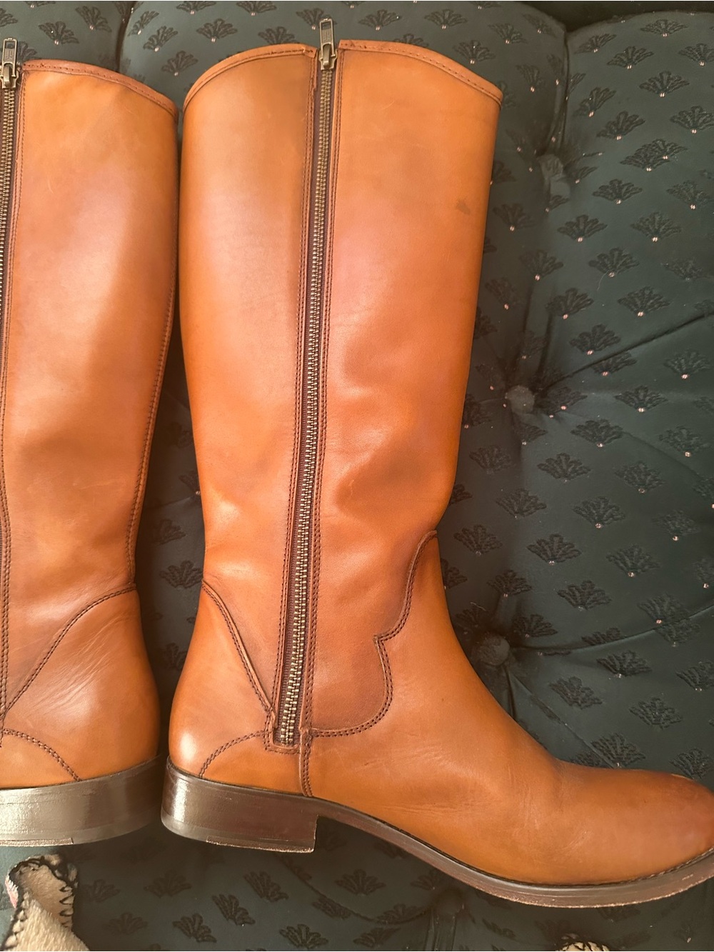 Frye Marissa Medallion Inside Zip Tall Boot. Color: Cognac. - Picture 10 of 15